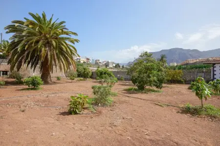 Maison de charme à Buenavista del Norte avec piscine partagée - Photo 19