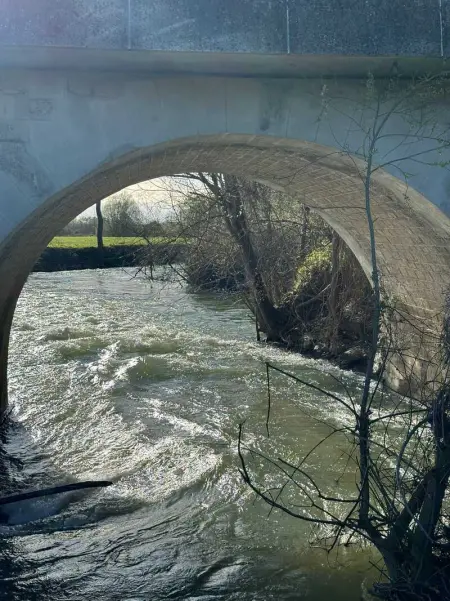 Maison spacieuse à Saint-Florentin, 138 m², avec jardin - Photo 31