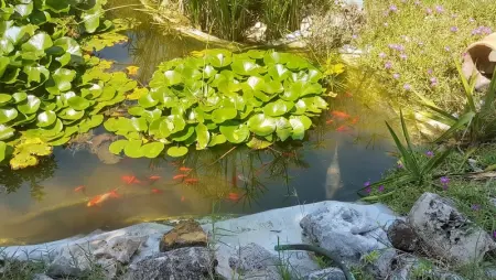 Appartement charmant à San Mauro Pascoli 75 m² avec jardin climatisé - Photo 20