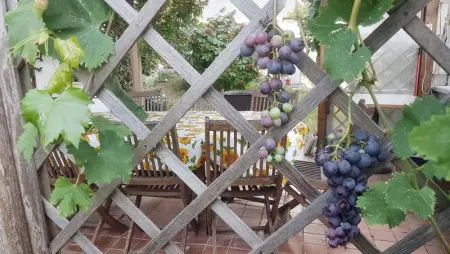 Appartement charmant à San Mauro Pascoli 75 m² avec jardin climatisé - Photo 23