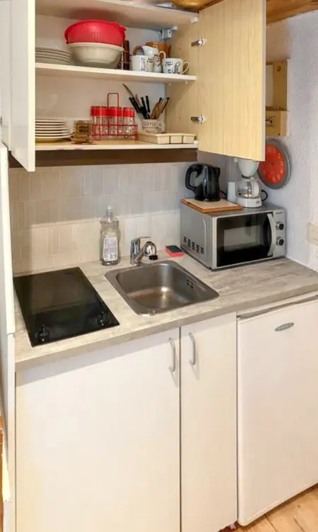 Studio cosy à Uvernet-Fours / 15 m² / Vue montagne - Photo 12