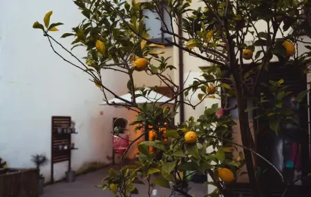 Maison spacieuse à Porto + jardin, Maison 14 personnes à Porto - Photo 21