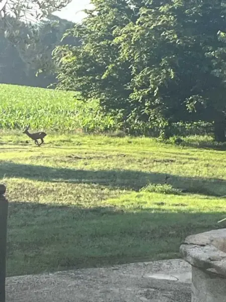 Maison familiale chaleureuse à Saint-Évarzec avec terrasse - Photo 21