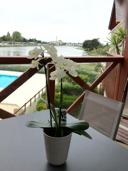 Appartement cosy avec piscine partagée - Guérande - 30 m² - Photo 16