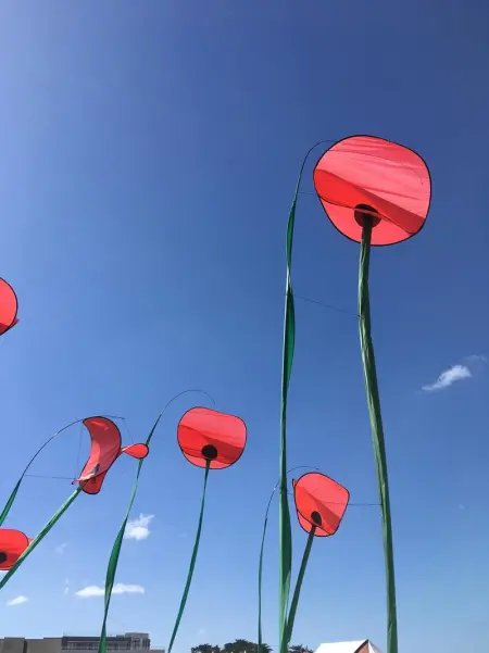 Appartement cosy avec piscine partagée - Guérande - 30 m² - Photo 20