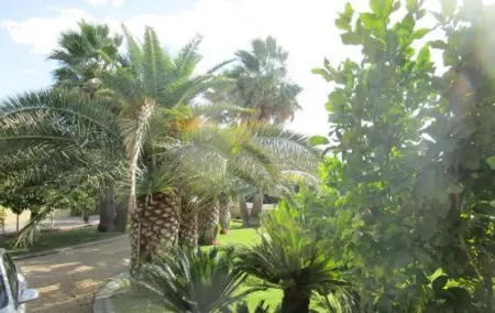 Appartement élégant à Vias avec balcon et jardin - Photo 1