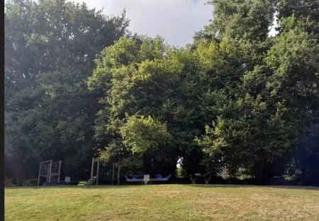 Chalet charmant à Saint-Sylvestre avec jardin 32 m² - Photo 21