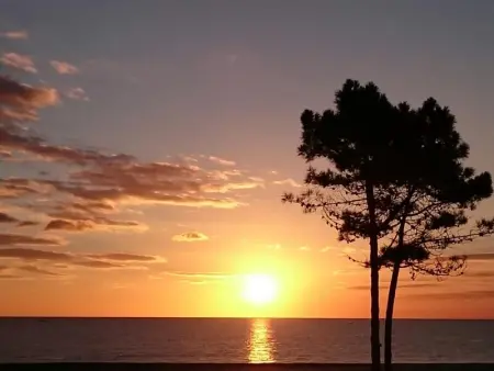 Appartement lumineux à Saint-Cyprien 45 m² vue mer - Photo 13