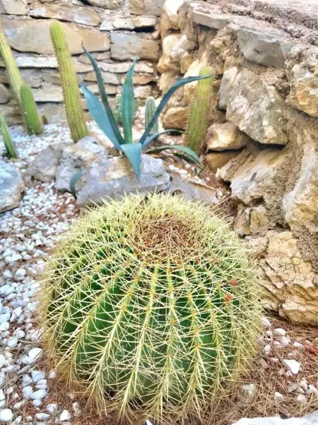 Villa Charmante à El Vendrell + Piscine, Villa 8 personnes à El Vendrell - Photo 11