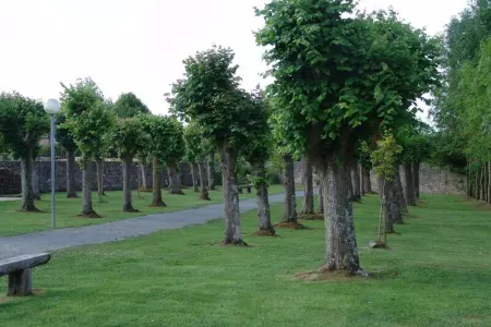 Appartement cosy à Montmartin 27m² avec piscine partagée - Photo 11
