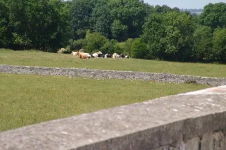 Appartement cosy à Montmartin 27m² avec piscine partagée - Photo 12