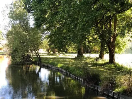 Maison charmante avec piscine privée à Saint-Georges-de-Pointindoux - Photo 11