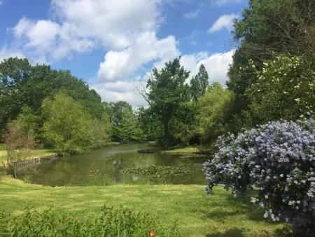 Maison charmante avec piscine privée à Saint-Georges-de-Pointindoux - Photo 16