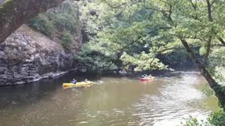 Maison charmante à Montoldre + jardin, Maison 4 personnes à Montoldre - Photo 31