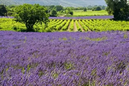 Appartement moderne à Nyons - 60 m² - Vue montagne - Photo 1