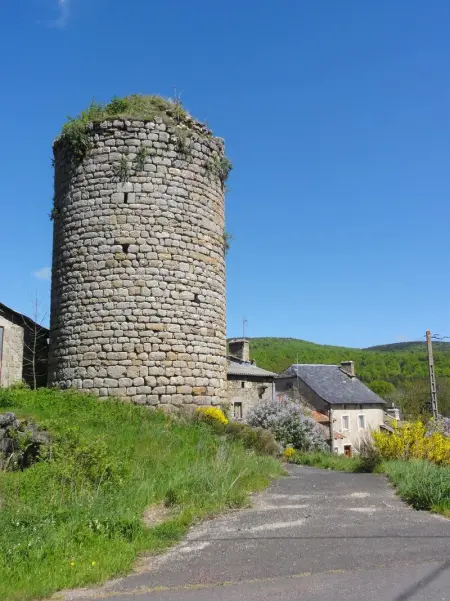 Maison charmante Le Malzieu, jardin, Maison 6 personnes à Le Malzieu Forain - Photo 21