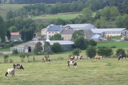 Maison charmante Le Malzieu, jardin, Maison 6 personnes à Le Malzieu Forain - Photo 23