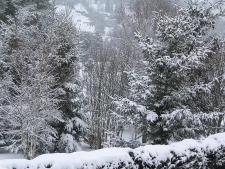 Maison charmante Le Malzieu, jardin, Maison 6 personnes à Le Malzieu Forain - Photo 28