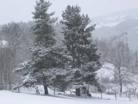 Maison charmante Le Malzieu, jardin, Maison 6 personnes à Le Malzieu Forain - Photo 29