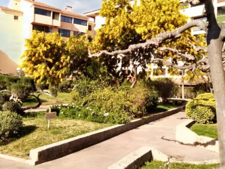 Studio charmant à Fréjus avec piscine commune - 30 m² - Photo 9