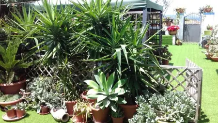 Appartement charmant à Calasetta - 38 m² - Parking - Photo 12