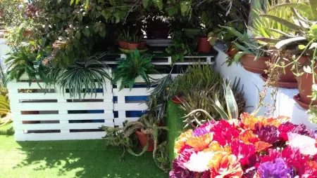 Appartement charmant à Calasetta - 38 m² - Parking - Photo 13