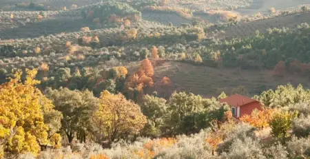 Maison conviviale à Cañamero de 86 m² avec piscine partagée - Photo 10
