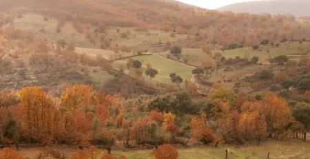 Maison conviviale à Cañamero de 86 m² avec piscine partagée - Photo 12