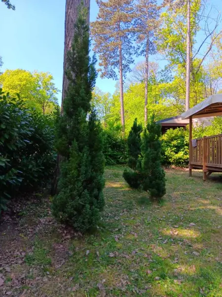 Bungalow charmant avec piscine partagée à Saint-Chéron - Photo 15