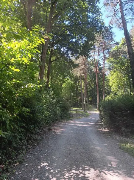 Bungalow charmant avec piscine partagée à Saint-Chéron - Photo 17