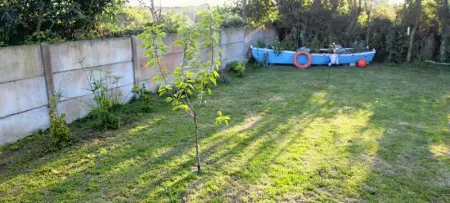 Studio confortable à Flamanville - 35m² - Jardin privé - Photo 12