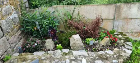 Studio confortable à Flamanville - 35m² - Jardin privé - Photo 16