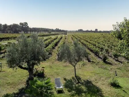 Villa spacieuse à Richerenches, Villa 23 personnes à Richerenches - Photo 10