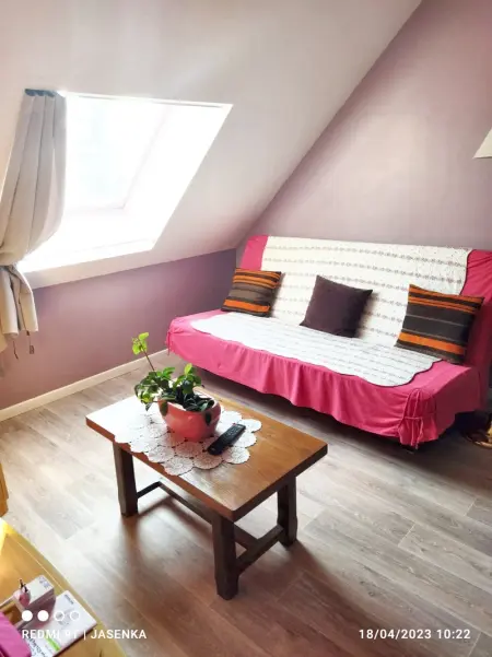 Studio chaleureux à Saint-Barthélemy-d'Anjou de 27 m² + jardin - Photo 10