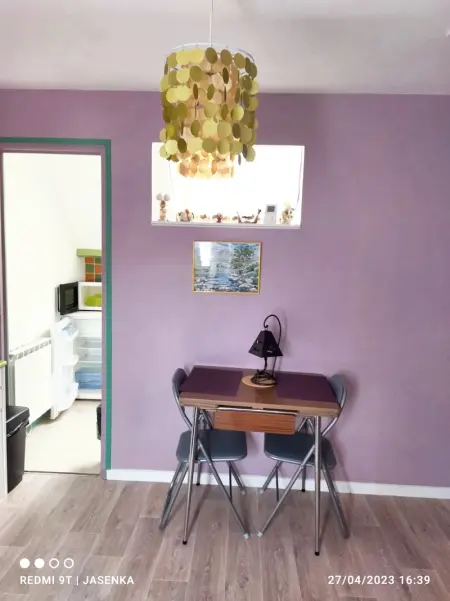 Studio chaleureux à Saint-Barthélemy-d'Anjou de 27 m² + jardin - Photo 11