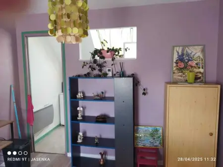 Studio chaleureux à Saint-Barthélemy-d'Anjou de 27 m² + jardin - Photo 13