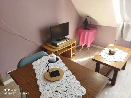 Studio chaleureux à Saint-Barthélemy-d'Anjou de 27 m² + jardin - Photo 16