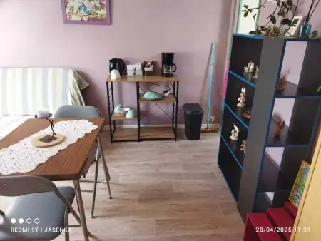 Studio chaleureux à Saint-Barthélemy-d'Anjou de 27 m² + jardin - Photo 17