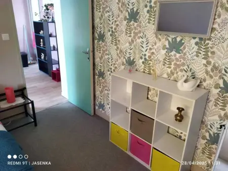 Studio chaleureux à Saint-Barthélemy-d'Anjou de 27 m² + jardin - Photo 18