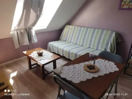 Studio chaleureux à Saint-Barthélemy-d'Anjou de 27 m² + jardin - Photo 19