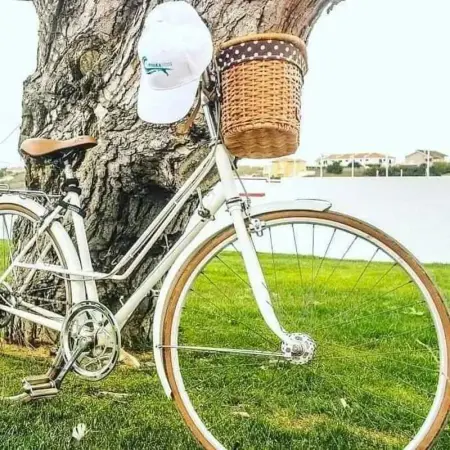 Maison spacieuse à Atalaia avec piscine partagée - Photo 35