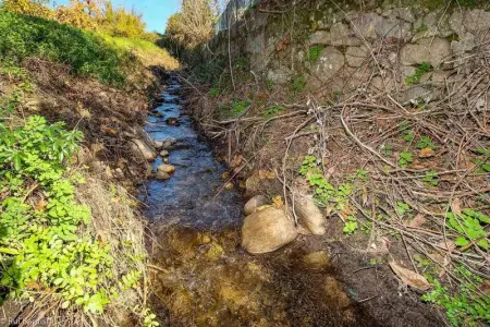 Maison charmante à Monchique avec piscine partagée - Photo 15