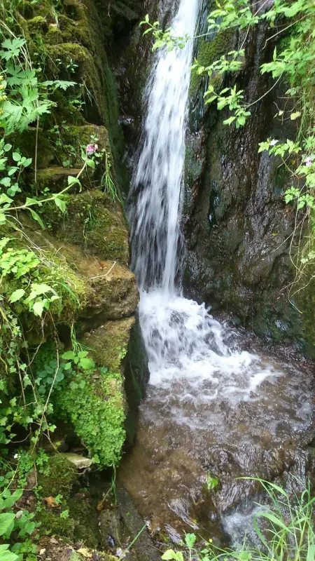 Appartement accueillant à Rosureux 70 m² avec jardin partagé - Photo 11