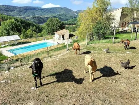 Villa charmante à Sisteron avec piscine privée - Photo 1