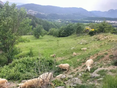 Villa charmante à Sisteron avec piscine privée - Photo 20