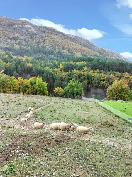 Villa charmante à Sisteron avec piscine privée - Photo 22