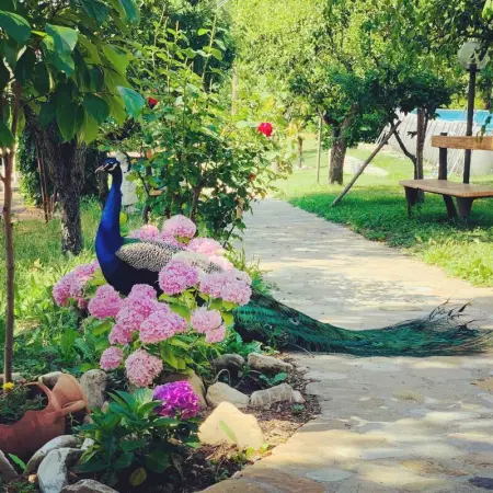 Appartement accueillant avec vue à Monte San Pietro 90 m² piscine - Photo 23