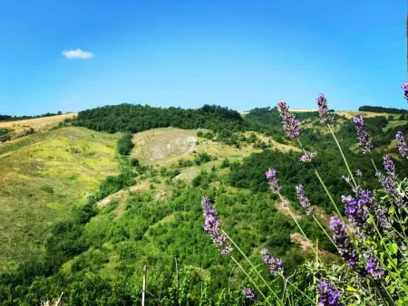 Appartement accueillant avec vue à Monte San Pietro 90 m² piscine - Photo 24