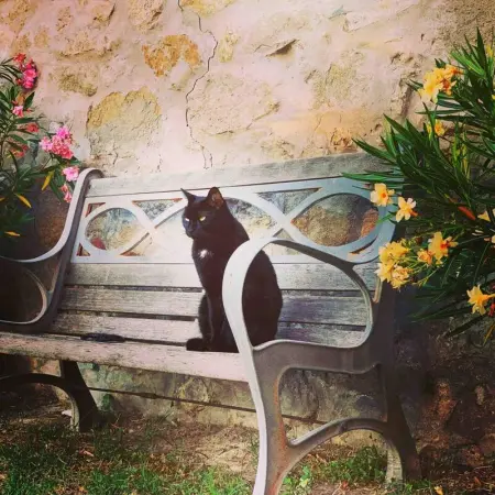 Appartement accueillant avec vue à Monte San Pietro 90 m² piscine - Photo 25