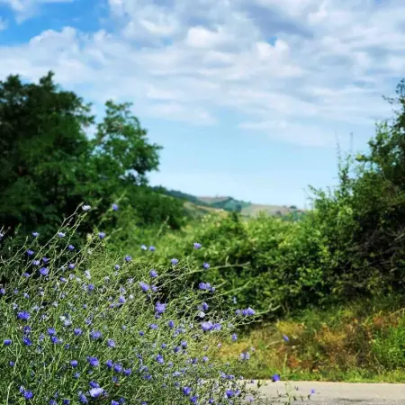 Appartement accueillant avec vue à Monte San Pietro 90 m² piscine - Photo 26